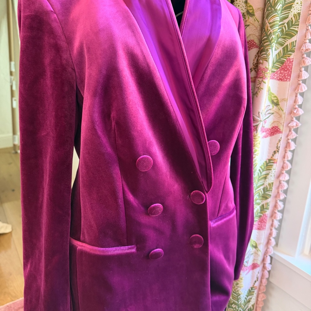 EXPRESS Velvet Double-Breasted Shawl Collar Blazer in Merlot / Burgundy NWT